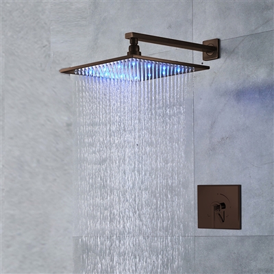 Bathroom Shower Head